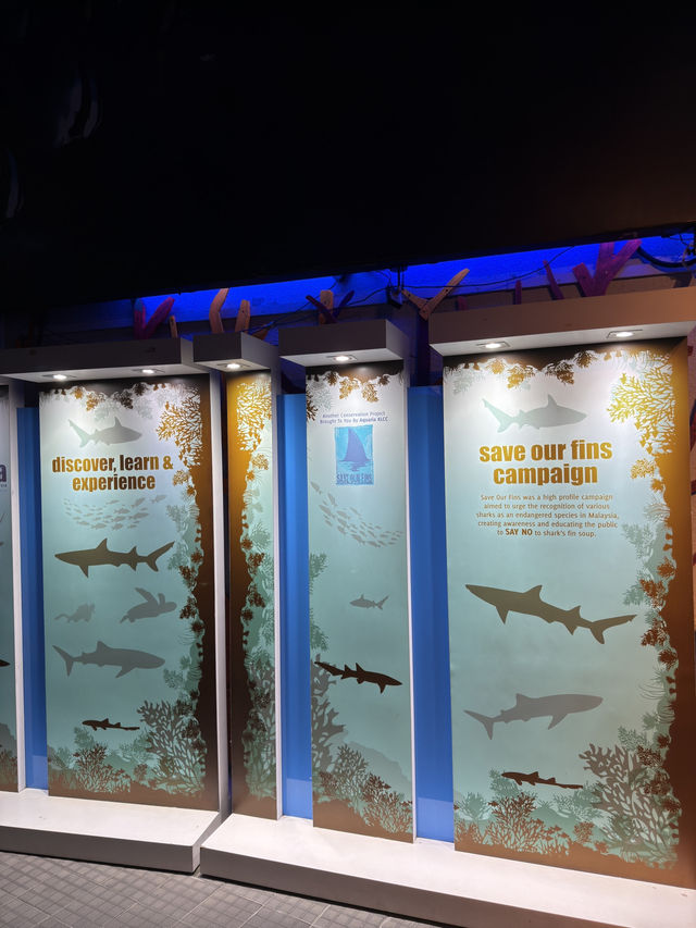 Meet the Shark at KLCC Aquaria