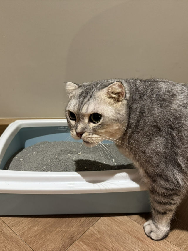 โรงแรมริมแม่น้ำเจ้าพระยา Pet Friendly 🐈