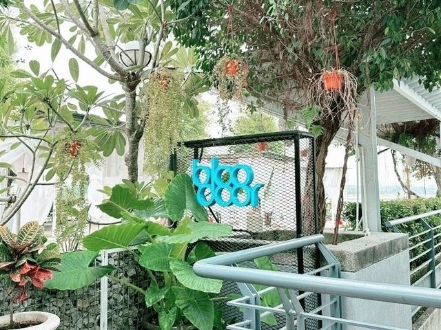 A Quiet Escape: Bloo Door’s Lakeside Magic!