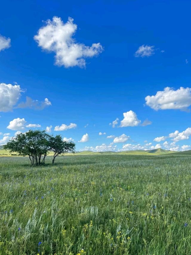 Pastures of Paradise: The Untamed Beauty of Ili