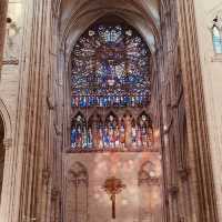 🏰🌊 Solo Stroll Through Floating Gardens & Gothic Grandeur: Amiens – Picardy’s Hidden Gem 