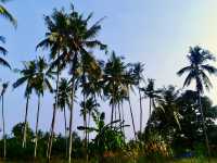 🏖️ Pangkor Coral Bay Resort – A Laid-Back Island Escape