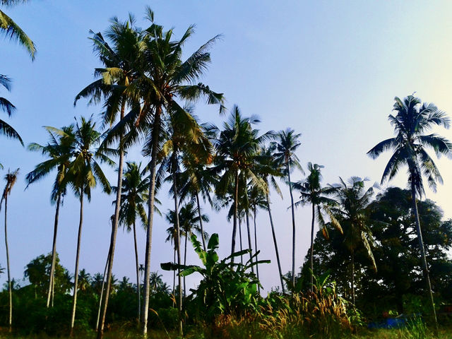 🏖️ Pangkor Coral Bay Resort – A Laid-Back Island Escape  🏖️ Pangkor Coral Bay Resort – A Laid-Back Island Escape