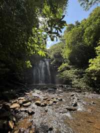 ケアンズ🇦🇺 アサートン高原の滝めぐり🌳💦