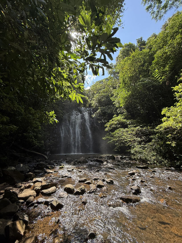 ケアンズ🇦🇺 アサートン高原の滝めぐり🌳💦