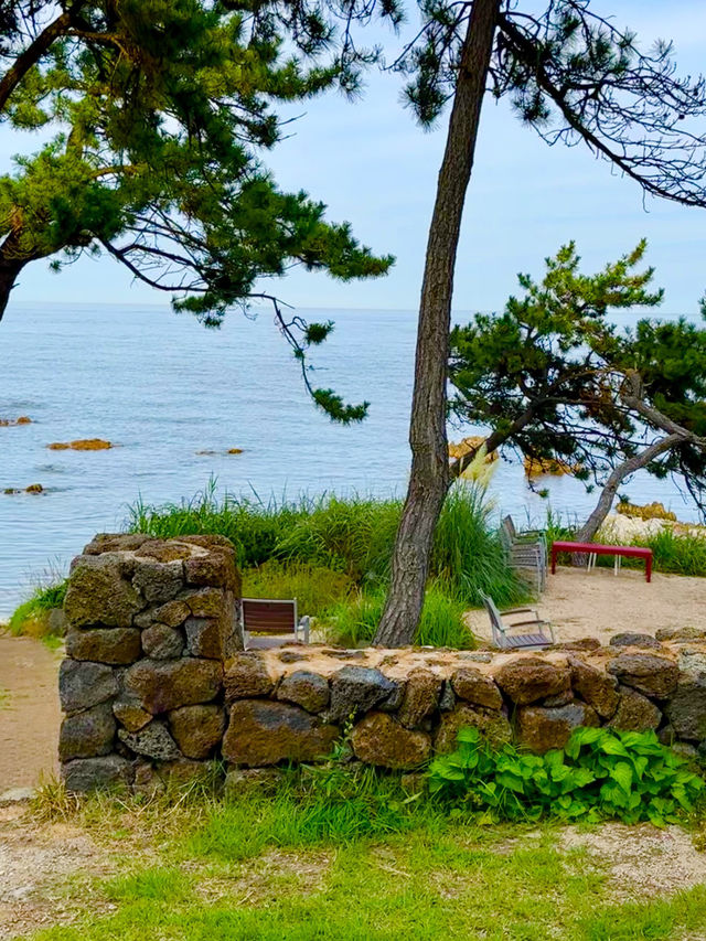 부산 기장 오션뷰 카페 OFFO☕️