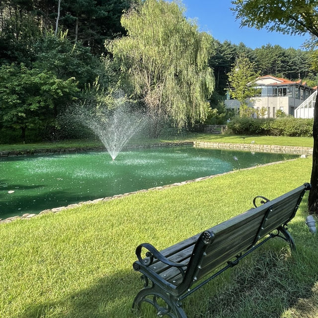 [이천] 🌿 이천 감성숙소, 에덴 파라다이스 호텔 ✨
