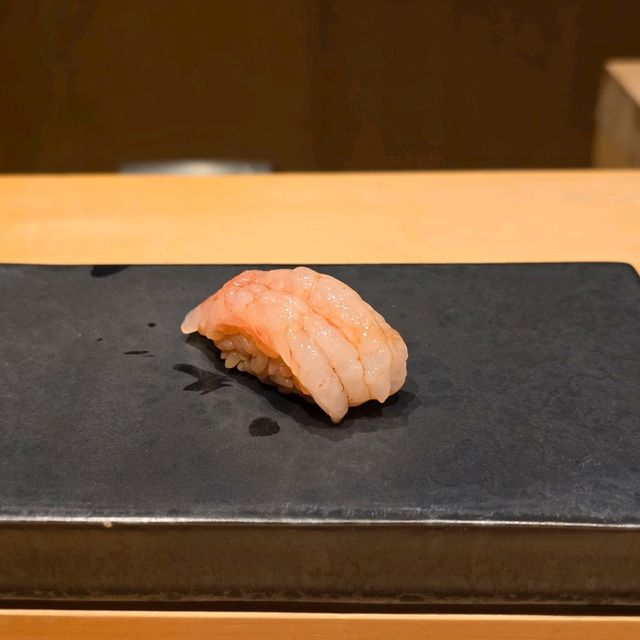삿포로 스스키노 스시 오마카세 Tenchijin 삿포로 스스키노 스시 오마카세 Tenchijin