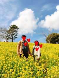 四季折々の花や動物と触れ合える！大人から子供まで楽しめるマザー牧場😍🫶