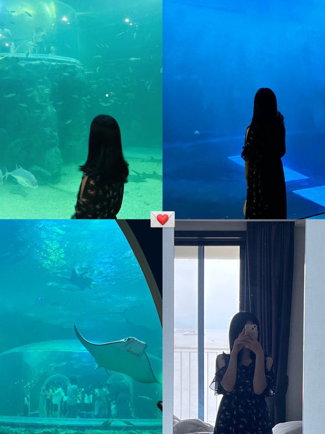 🐠 아쿠아플라넷 여수, 바다 속을 걸은 듯한 하루