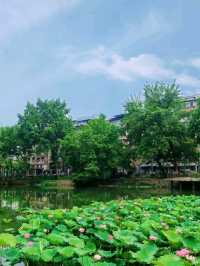 Zhongshan Park: Wuhan's Green Living Room