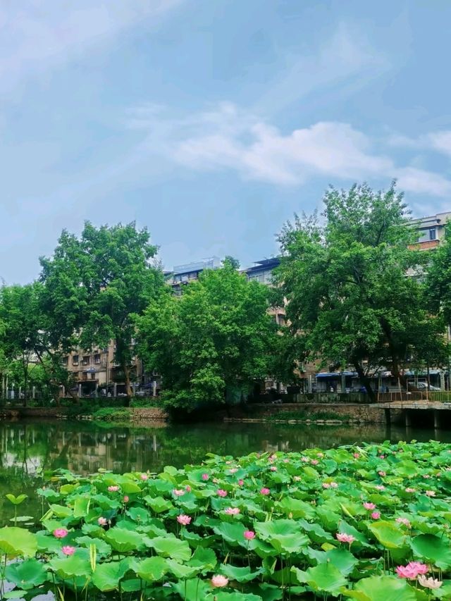 Zhongshan Park: Wuhan's Green Living Room