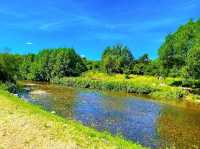 Reddish Vale Country Park – Nature on the Edge of the City