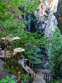【莫干山｜竹林與雲霧寫給夏日的長信】