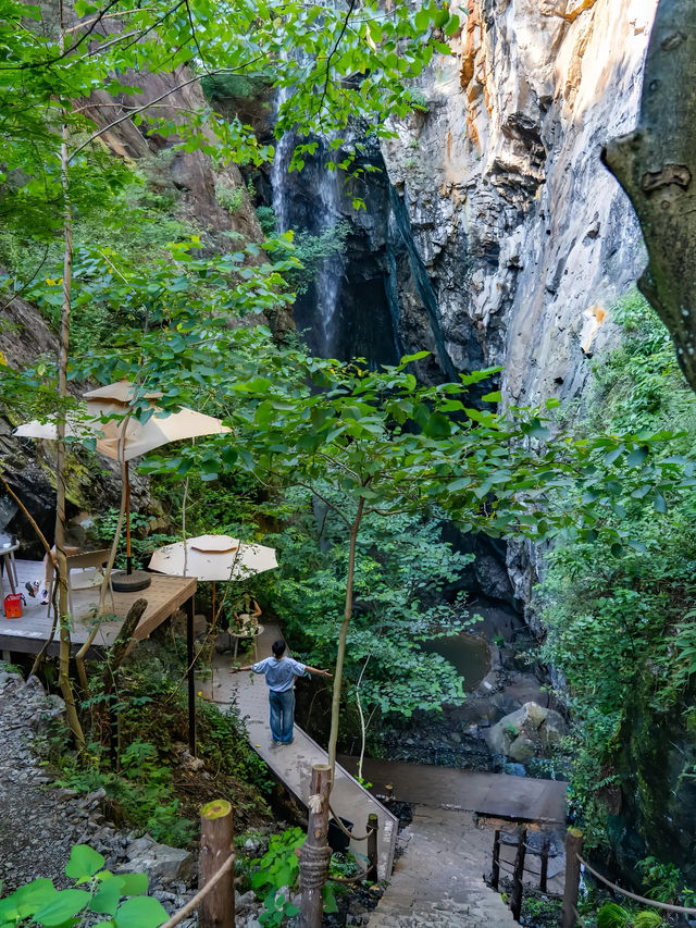 【莫干山｜竹林與雲霧寫給夏日的長信】