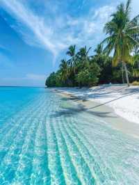 Maldives: A Dream of Turquoise Waters and White Sands