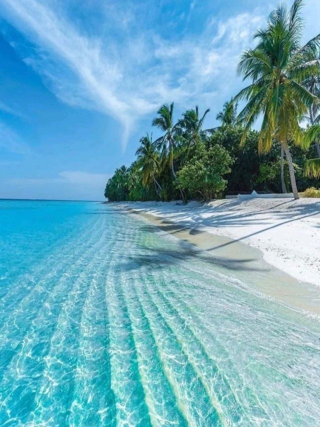 Maldives: A Dream of Turquoise Waters and White Sands
