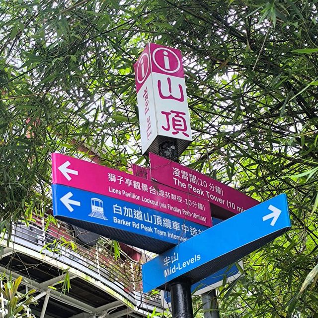一日玩盡山頂廣場必踏路線