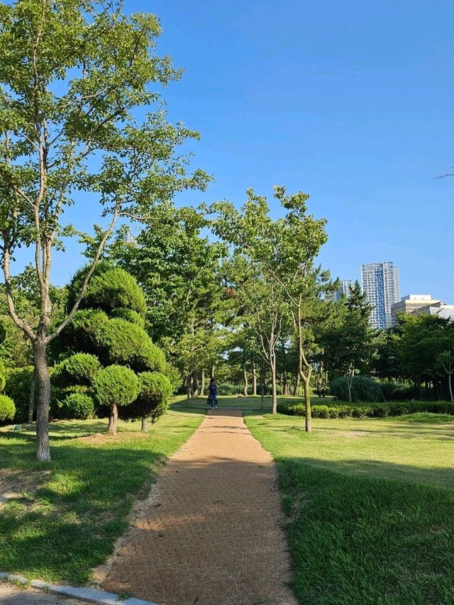 인천 송도 센트럴파크 공원 인천 송도 센트럴파크 공원