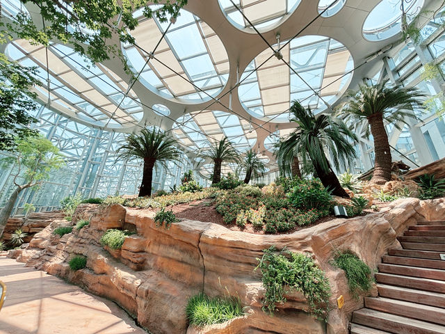 🌵【上海新地標！亞洲最大溫室花園「上海溫室花園」開放啦～沙漠雨林一次看夠，隨手一拍就是科幻大片！】🌵