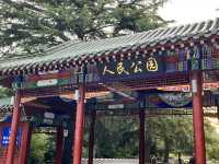 🕰🌳 Zhengzhou People’s Park — The City’s Living Square