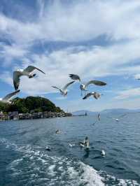🌊 Ine Village เมืองชาวประมง Hidden Gem แห่ง Kyoto