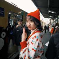 和熊本熊同行的一天｜電車、庭園與滿滿驚喜」