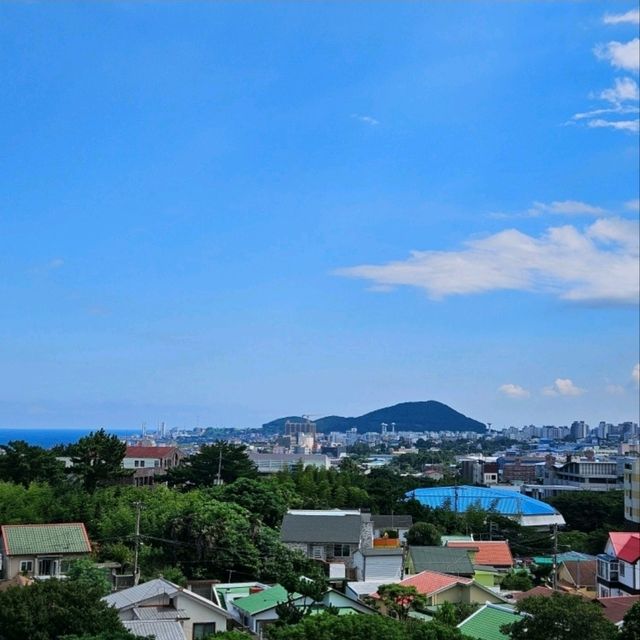 국립제주박물관, 제주 역사와 문화를 만나는 공간 🏛️ 국립제주박물관, 제주 역사와 문화를 만나는 공간 🏛️