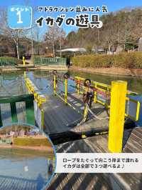 完全無料で遊具大充実の公園