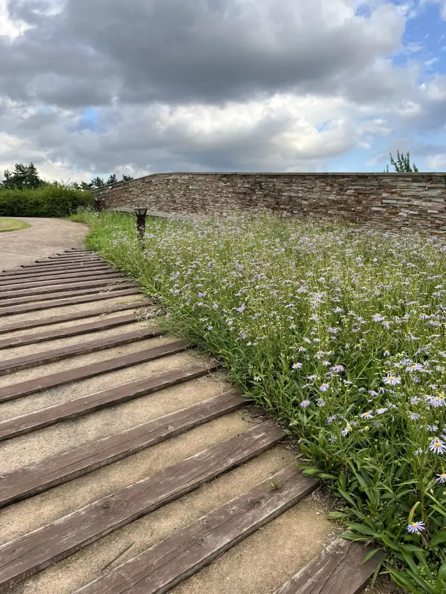 漢城百濟博物館的屋頂花園
