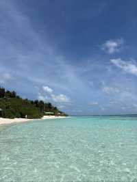 Plumeria Maldives