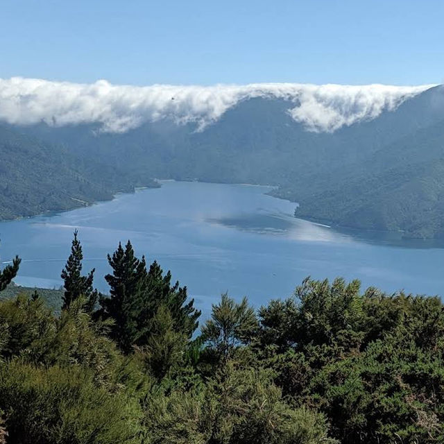 Eatwell Lookout – Panorama Point over Kenepuru & Queen Charlotte Sounds