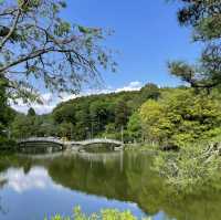 【東京町田】美しい池と植物の楽園