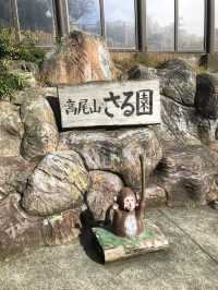 🚡高尾山一日遊：纜車體驗×登山散策×美食享受