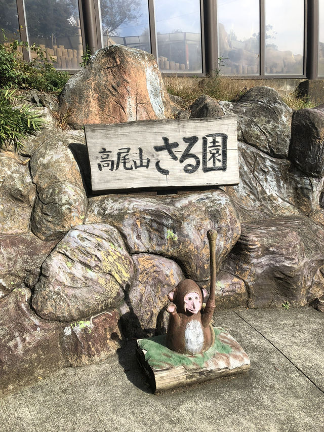 🚡高尾山一日遊：纜車體驗×登山散策×美食享受