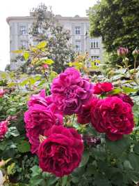 城市靈魂的一角，綠意與藝術共存的街頭花園#水晶花園（Crystal Garden）-Sofia Bulgaria