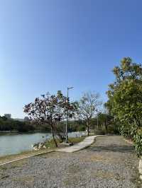 高雄|高雄市立美術館(高美館)—在湖岸、雕塑與藍天之間散步的一個午後 🎨🌿