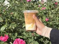 Stop and Smell the Coffee at Rose Café, Taif!