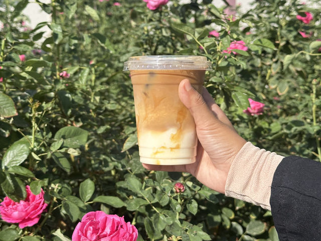 Stop and Smell the Coffee at Rose Café, Taif!