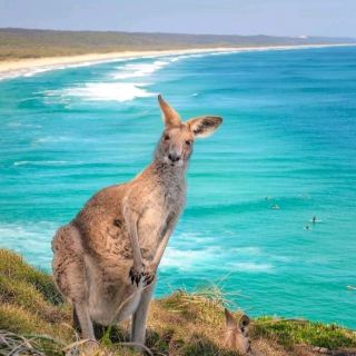Gold Coast, Australia! Family Surfing Lessons and Rainforest Hiking Vacation