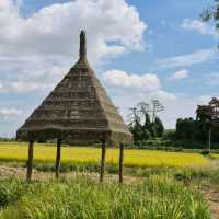 청산수목원, 태안 바닷길 속 숲의 쉼터 🌿