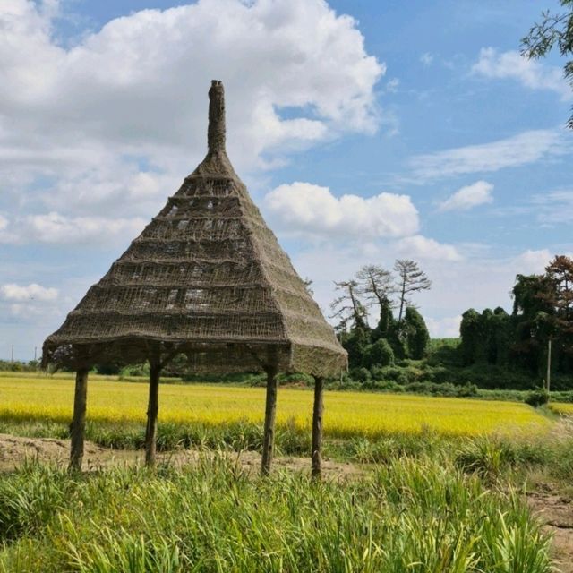 청산수목원, 태안 바닷길 속 숲의 쉼터 🌿
