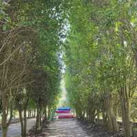 청산수목원, 태안 바닷길 속 숲의 쉼터 🌿