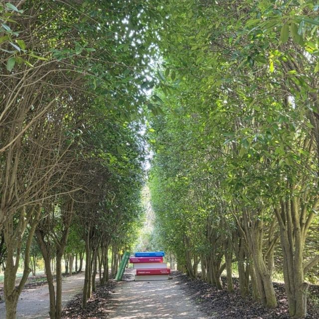 청산수목원, 태안 바닷길 속 숲의 쉼터 🌿