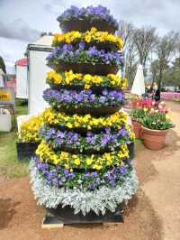 💐Floriade Day Part 1💐