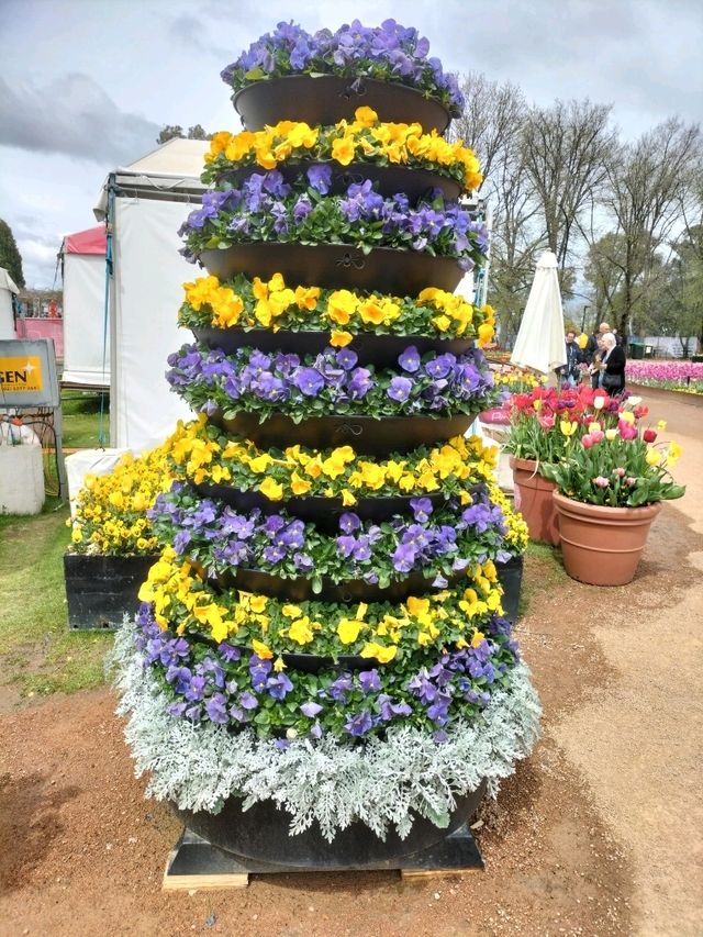 💐Floriade Day Part 1💐