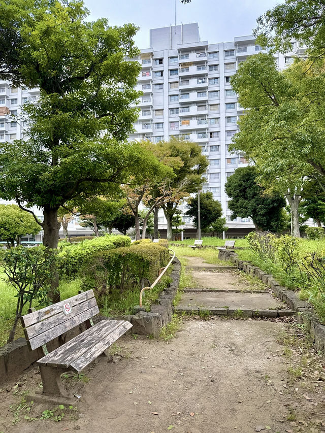 🌸 Hidden Corners of Asakusa