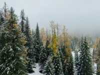 Altay's First Snow: A Magical October Transformation ❄️🏔️