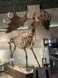 NATIONAL MUSEUM OF NATURE AND SCIENCE.