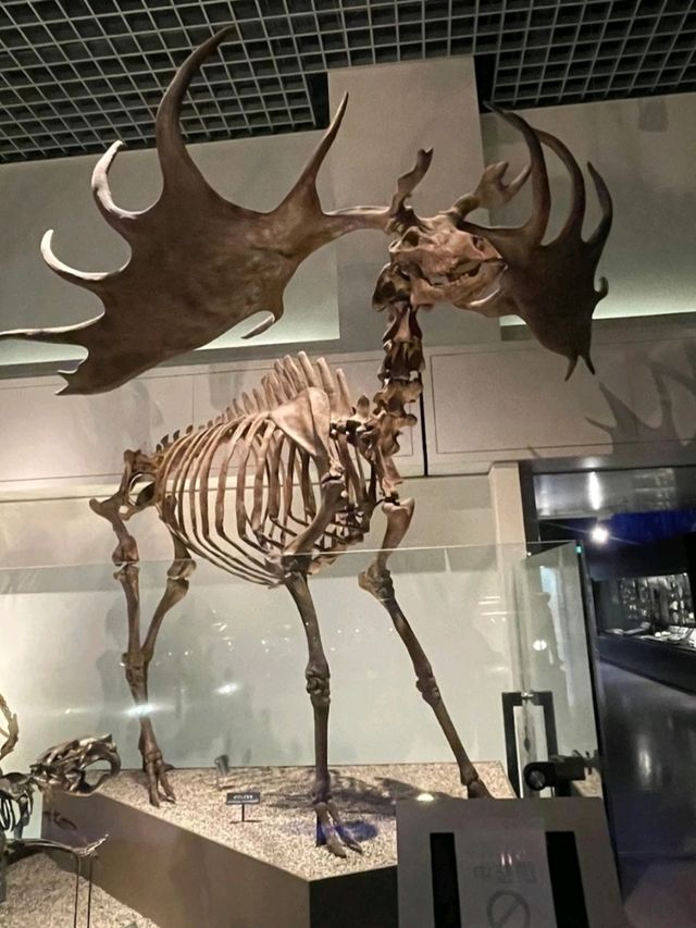 NATIONAL MUSEUM OF NATURE AND SCIENCE.